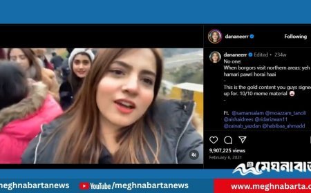 পাওরি গার্ল থেকে সফল অভিনেত্রী: কে এই দানানির মোবিন