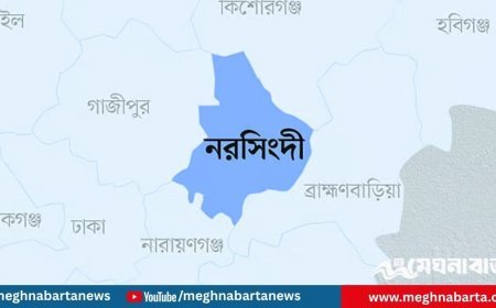 নরসিংদীতে প্রিজন ভ্যানে তোলার সময় হাতকড়া খুলে পালালেন আসামি