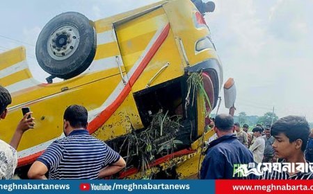 ফরিদপুরে এক বাসের ধাক্কায় আরেক বাস খাদে, শিশু ও নারী নিহত