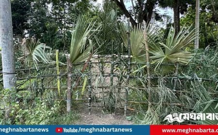 ‘চাঁদা না দেওয়ায়’ রাস্তা বন্ধ করলেন বিএনপির দুই নেতা