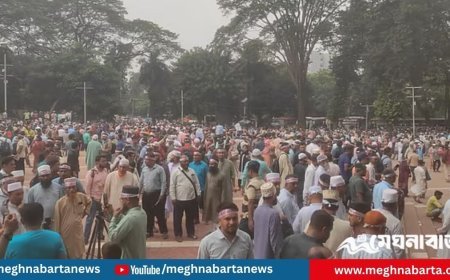 দাবি আদায় না হলে দুপুরে ‘মার্চ টু যমুনা’ করবেন শিক্ষক-কর্মচারীরা
