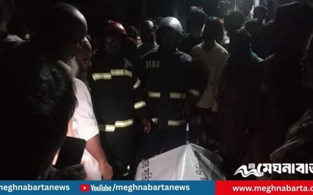 মুন্সিগঞ্জে নিজ ঘরে আগুনে দগ্ধ হয়ে অসুস্থ নারীর মৃত্যু