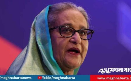 আন্তর্জাতিক অপরাধ ট্রাইব্যুনালে শেখ হাসিনার মৃত্যুদণ্ড চাওয়া হয়েছে