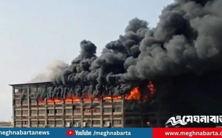 চট্টগ্রাম ইপিজেডে পোশাক কারখানায় ভয়াবহ অগ্নিকান্ড