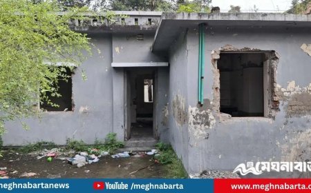 বদলির পর সরকারি কোয়ার্টারের দরজা-জানালা খুলে নিলেন গণপূর্ত প্রকৌশলী