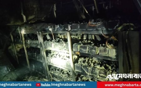 ইনসেপ্টা ফার্মাসিউটিক্যালসে আগুন, ১ ঘণ্টার চেষ্টায় নিয়ন্ত্রণে