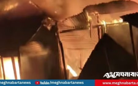 ফরিদপুরে বাজারে আগুন, পুড়ে গেল ১৭টি দোকান