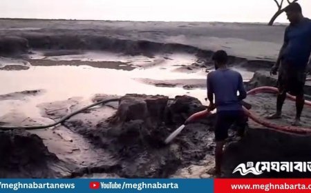 নিঝুমদ্বীপে সৈকত থেকে বালু উত্তোলন, বিএনপির ৬ নেতাকর্মীর নামে মামলা