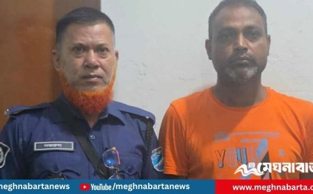 সাভারে বিশ্ববিদ্যালয়ের ছাত্রীকে ধর্ষণের মামলায় একজন গ্রেপ্তার