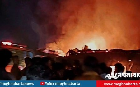 এক রাতে আগুনে পুড়ে গেল ২০ দোকান, ক্ষয়ক্ষতি কোটি টাকার