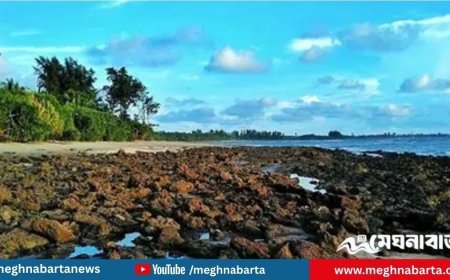 নভেম্বর থেকে সেন্ট মার্টিন যেতে পারবেন পর্যটকরা: পরিবেশ উপদেষ্টা
