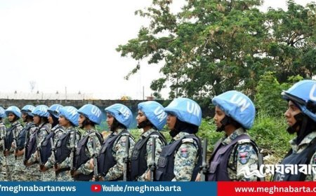 দেশে ফিরবেন ১৩১৩ বাংলাদেশি শান্তিরক্ষী