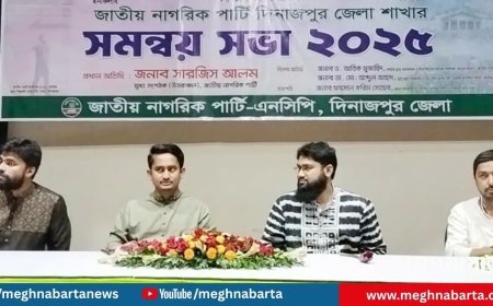 সরকারকে এনসিপির কাছে ক্ষমা চাইতে বললেন সারজিস আলম