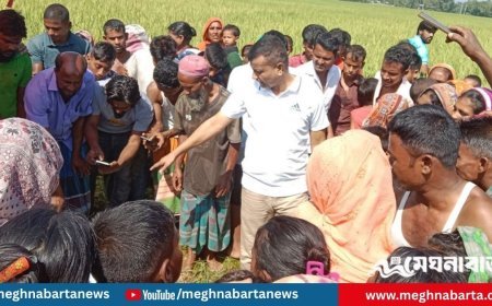 বকশীগঞ্জে নিখোঁজের ১৬ ঘণ্টা পর ধানক্ষেতে মিলল শিশুর মরদেহ