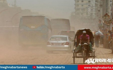 বিশ্বের সবচেয়ে দূষিত বাতাসের শহরের শীর্ষ ৭ নম্বরে ঢাকা