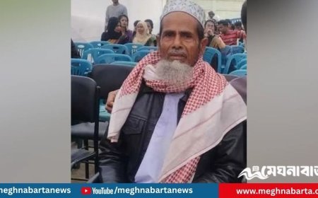 দোকান থেকে বাড়ি ফেরার পথে বৃদ্ধকে কুপিয়ে হত্যা