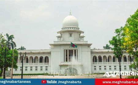 তত্ত্বাবধায়ক সরকারব্যবস্থা ফেরাতে চলছে আপিল শুনানি