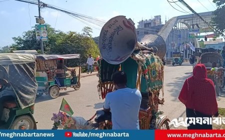 প্রিয় কুকুর হারিয়ে শহরজুড়ে মাইকিং কিশোরগঞ্জে