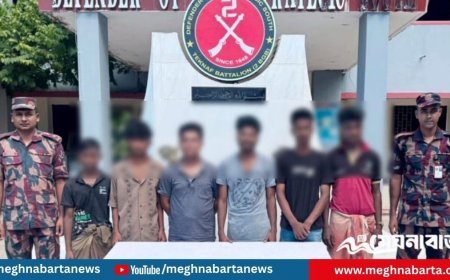 টেকনাফে পাচারকারীদের ডেরায় অভিযান, উদ্ধার ৬