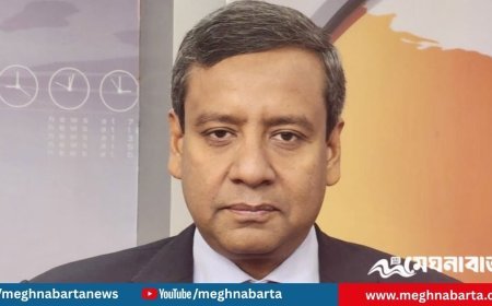 আওয়ামী লীগের উত্থানে প্রতিপক্ষদের মধ্যে আতঙ্ক ছড়িয়ে পড়েছে: গোলাম মাওলা রনি