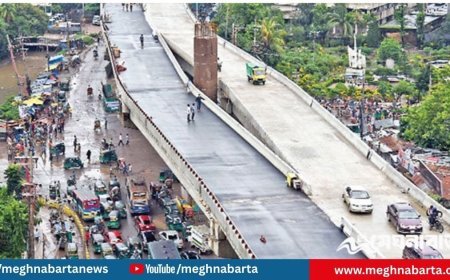ফ্লাইওভার থেকে ১৪০ নাট-বোল্ট চুরি, কাঠামোগত ঝুঁকিতে গুরুত্বপূর্ণ সড়ক