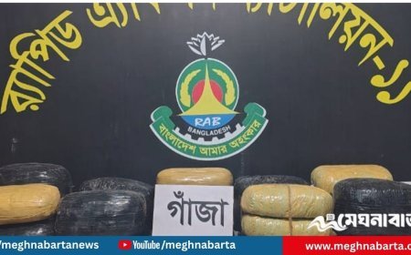 নারায়ণগঞ্জে ২ মণ গাঁজাসহ দুই মাদক কারবারি আটক