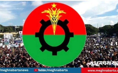 চলতি মাসেই ২৫০ আসনে একক প্রার্থীকে সবুজ সংকেত দেবে বিএনপি