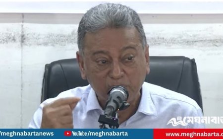 অন্তর্বর্তী সরকারকে দ্রুত কেয়ারটেকার ভূমিকা নিতে হবে: আমীর খসরু