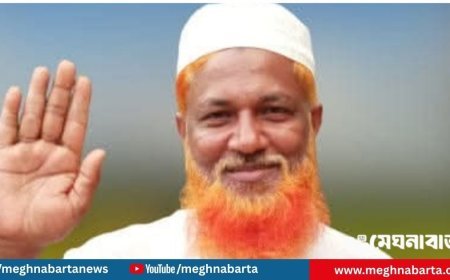 ‘আমি বিএনপি করি, তবে শেখ হাসিনার আদর্শে বিশ্বাসী’—বিতর্কে ইউপি সদস্য