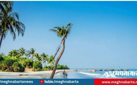 সেন্টমার্টিন ভ্রমণ নিয়ে সরকারের নতুন নির্দেশনা