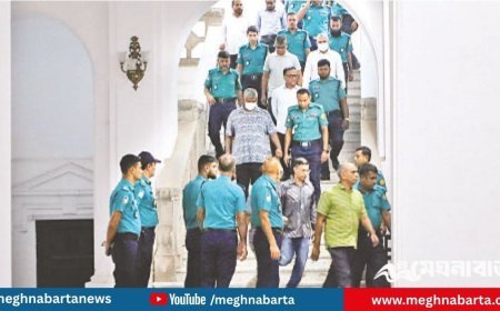 মানবতাবিরোধী অপরাধে ১৫ সেনা কর্মকর্তাকে সাবজেলে প্রেরণ