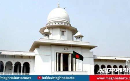 তত্ত্বাবধায়ক সরকার ফেরাতে তৃতীয় দিনের আপিল শুনানি চলছে