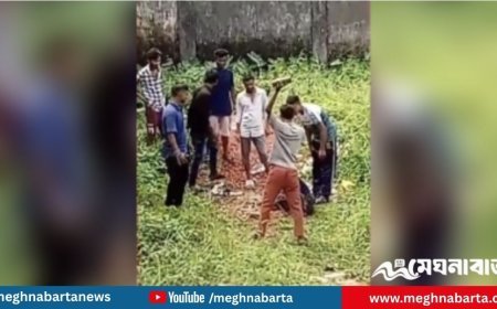 মিটফোর্ডের আদলে নারায়ণগঞ্জে নৈশপ্রহরীকে ইট দিয়ে থেঁতলে হত্যা; ভিডিও ভাইরাল