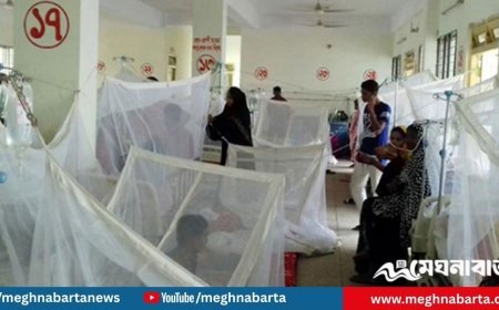 ডেঙ্গুতে আরও ৪ জনের মৃত্যু, এ বছর প্রাণহানি ২৫৯ ছাড়াল