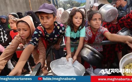 যুদ্ধবিরতির পরও গাজায় ক্ষুধার তীব্র সংকট, সতর্ক করল বিশ্ব স্বাস্থ্য সংস্থা