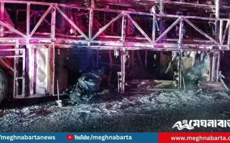ভারতে মোটরসাইকেলের সঙ্গে সংঘর্ষে পুড়ে ছাই যাত্রীবাহী বাস, নিহত ২০