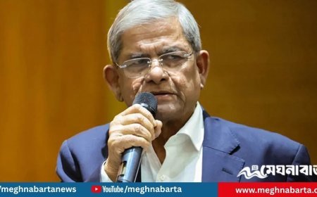 নির্বাচনে বিএনপি জিতলে প্রধানমন্ত্রী হবেন কে জানালেন মির্জা ফখরুল
