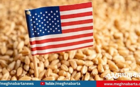 যুক্তরাষ্ট্র থেকে প্রথমবার জিটুজি পদ্ধতিতে এলো ৫৭ হাজার টন গম
