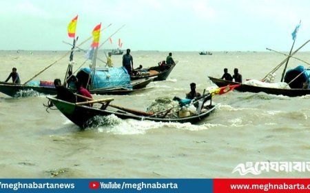 নিষেধাজ্ঞা শেষ না হতেই নদীতে জেলেরা, বাজারে ইলিশ বিক্রি