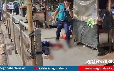 ফার্মগেটে মেট্রোরেলের বিয়ারিং প্যাড পড়ে এক পথচারীর মৃত্যু