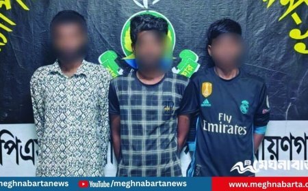 ঢাকা-চট্টগ্রাম মহাসড়কে দেশীয় অস্ত্রসহ তিন ছিনতাইকারী গ্রেপ্তার