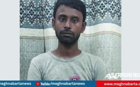 গোবিন্দগঞ্জে স্ত্রীকে ছুরিকাঘাতে হত্যা, স্বামী গ্রেপ্তার