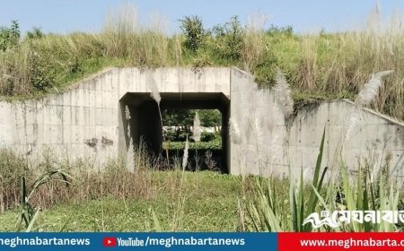 রেল প্রকল্পে থমকে আছে কৃষকের জীবিকা