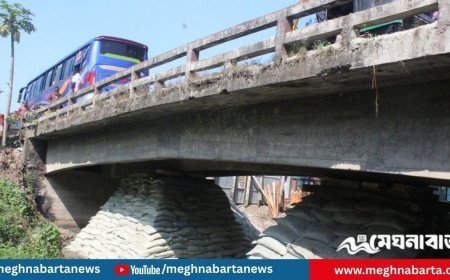 ঝুঁকিতে বরিশাল-ঢাকা মহাসড়কের গুরুত্বপূর্ণ সেতু, বালুর বস্তায় ঠেকিয়ে চলছে যান চলাচল