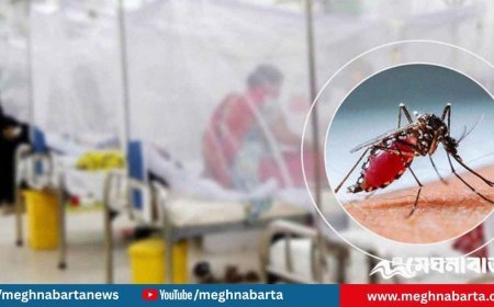 ২৪ ঘণ্টায় ডেঙ্গুতে ৬ জনের মৃত্যু, হাসপাতালে ভর্তি ৯৮৩ জন