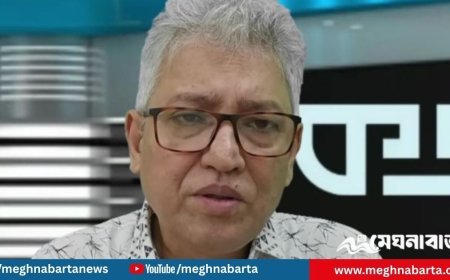 ‘প্রেসসচিবের অপকর্মের দায় ভবিষ্যতে হয়তো তার ভাই সাফার করবে’— মাসুদ কামাল