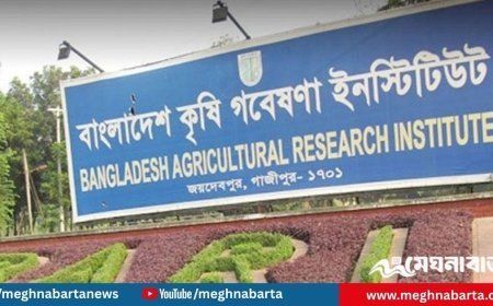 বারিতে পরীক্ষা ছাড়াই ৪২ জন সরকারি চাকরি পেয়েছেন