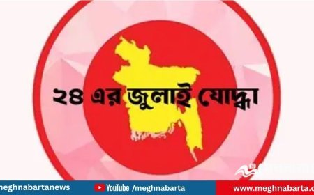 ভুয়া জুলাই-যোদ্ধার তালিকায় ১০৪ জন, বাতিল হচ্ছে গেজেট