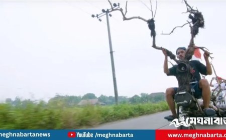 গাছের গুঁড়ি দিয়ে বানানো ২২ চাকার ভেসপায় দাপিয়ে বেড়াচ্ছে ইন্দোনেশিয়ার যুবক
