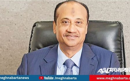 কোটি কোটি ডলার ক্ষতির অভিযোগে আন্তর্জাতিক সালিসির আবেদন দাখিল এস আলমের